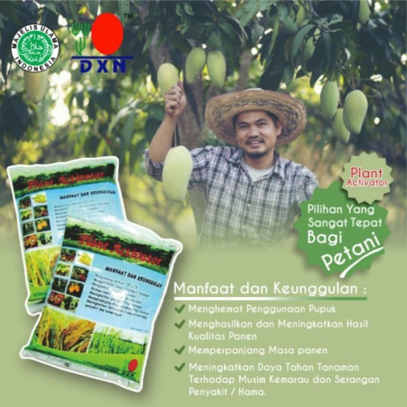 Dxn Plant Activator