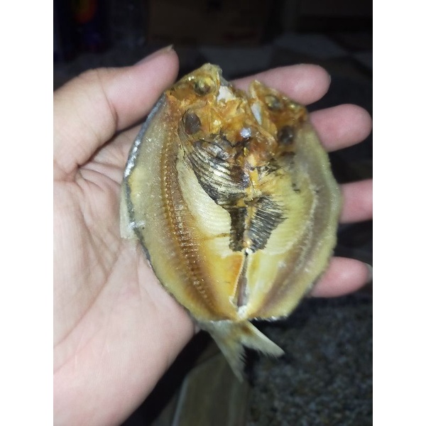 

Ikan Asin Belah Sembilan Premium Kemasan 250 Gram