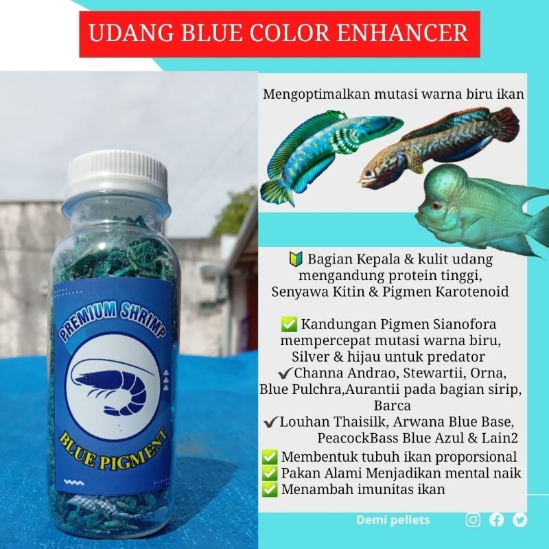 Udang Kering Premium Plus pigmen CAROPHYLL RED YELLOW BLUE untuk ikan CHANNA ARWANA LOUHAN dan ikan Predator