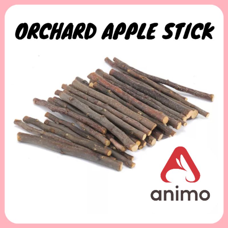 Natural Orchard Apple Chew Stick Asah Gigi Kelinci Hamster Sugar Glider Marmut Alami Kecil Sedang Be