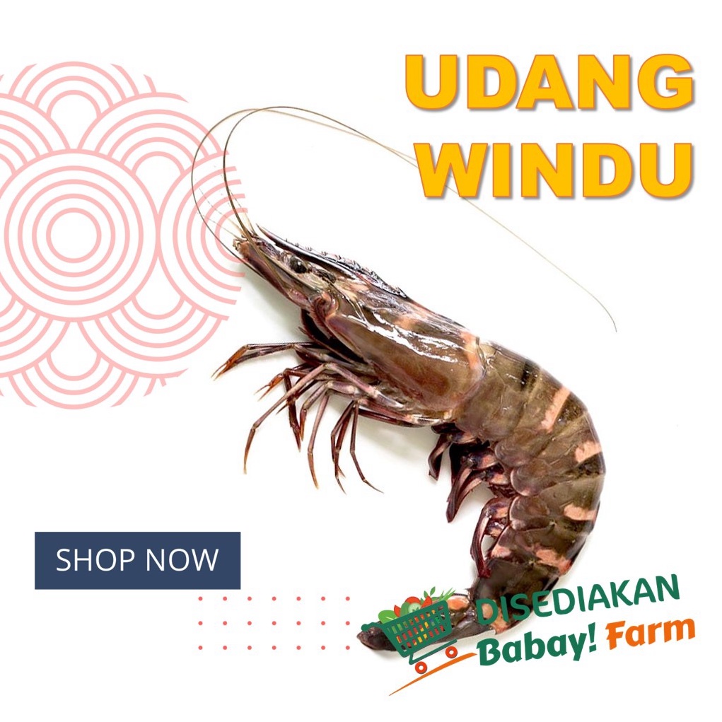 

Udang Windu 250 500 gr / 1 Kg