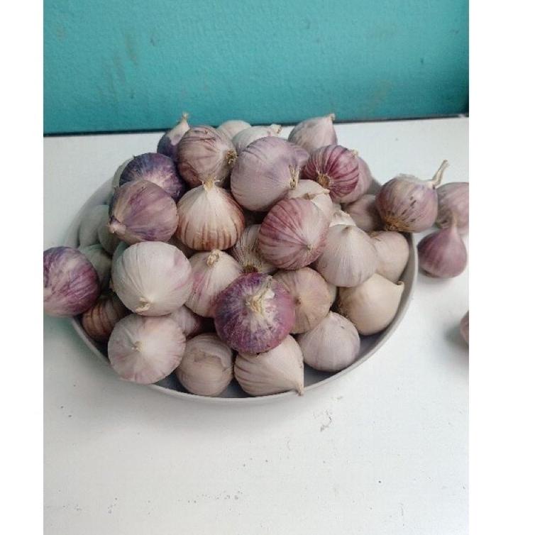 

Terlaris Bawang Putih Tunggal Lanang 1 KG Kilogram Import Jumbo Besar Dan Sedang Fresh!!! 93