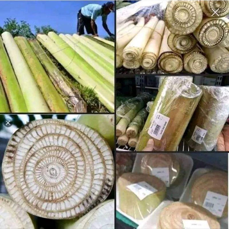 

Gedebok pisang 5kg Sejuta Khasiat Untuk Sayuran, keripik, Dll