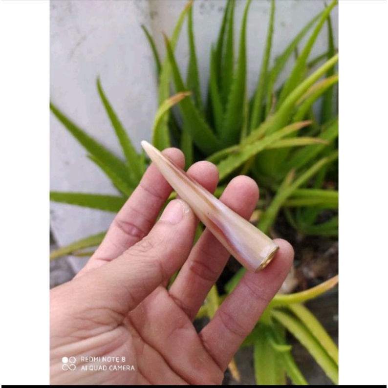 KERAJINAN PIPA TANDUK PANJANG 6-7 cm BISA COD