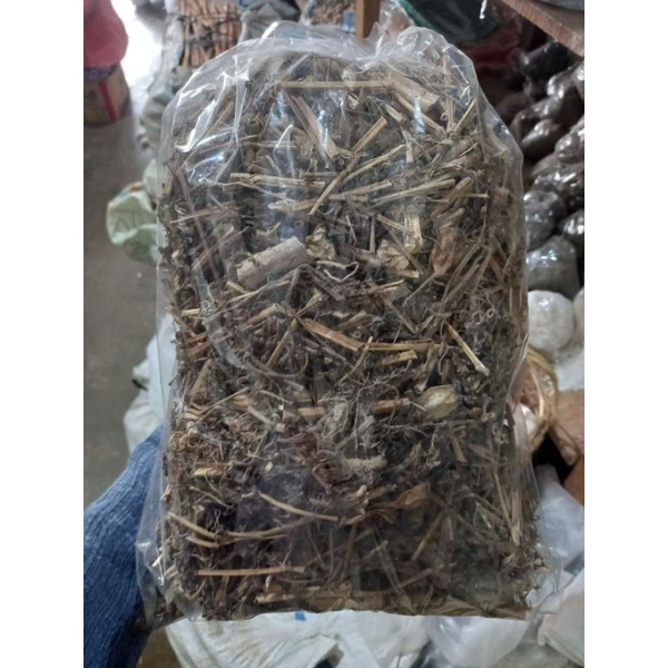 

Daun Batang Ciplukan 100 Gram Cecenet Cecendet Ceplukan kering