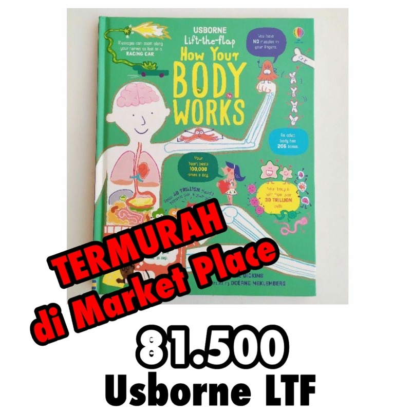 Usborne Lift the Flap How Your Body Works
