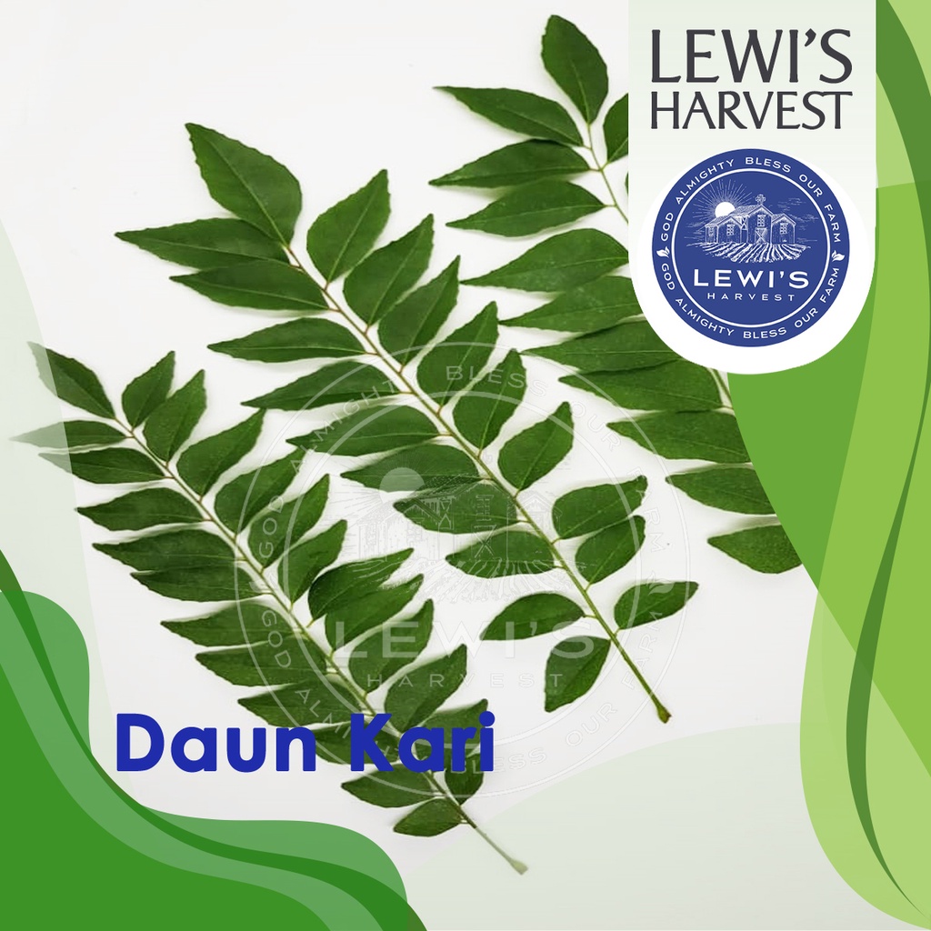 

Daun Kari/ Kari Leaves