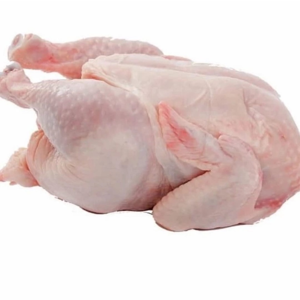 

AYAM NEGERI BESAR 1,2 KG