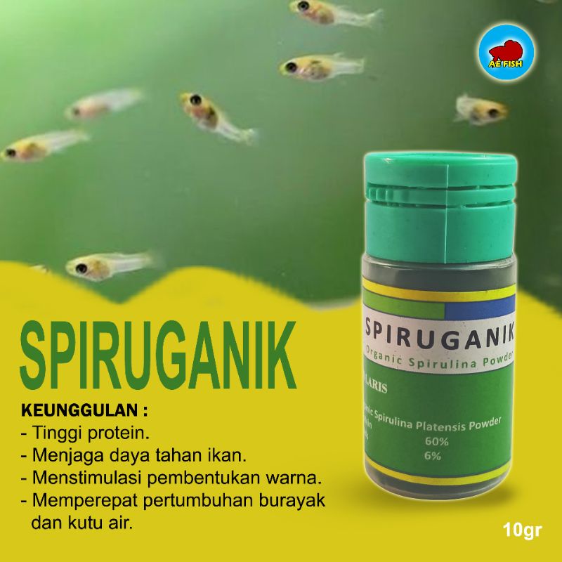 Spirulina ikan spiruganik 10gr Spirulina bubuk ikan hias