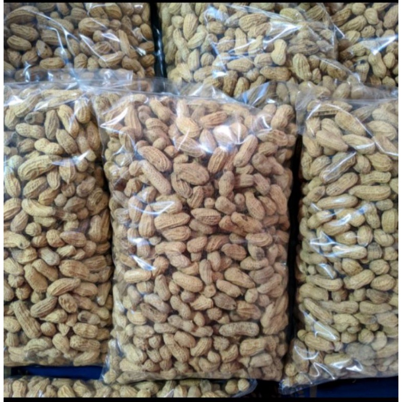 

Kacang kulit sangrai/Kacang asin 250g