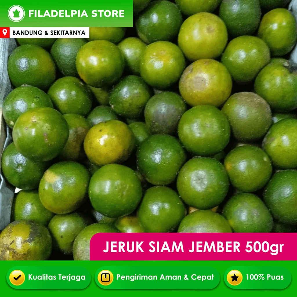 

Buah Jeruk Siam Jember Segar 500g / 1kg Bandung Kota Murah Promo Gosend Diskon