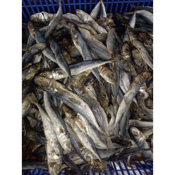 

IKAN ASIN LAYANG REBUS 500GRAM