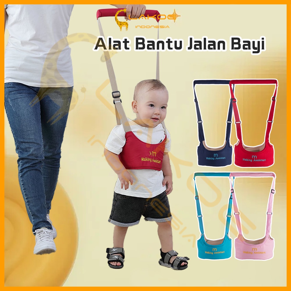 Alat bantu belajar jalan bayi baby walking assistant