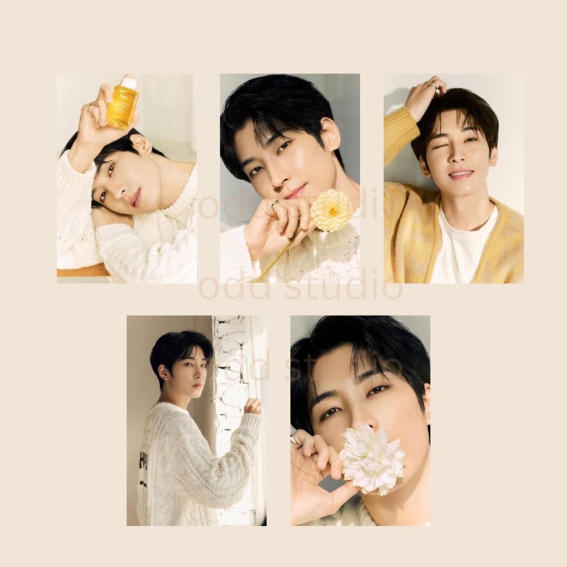 Huxley x Wonwoo Seventeen Postcard unofficial