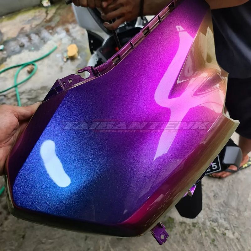 Cat Bunglon Taibantenk Spacemans