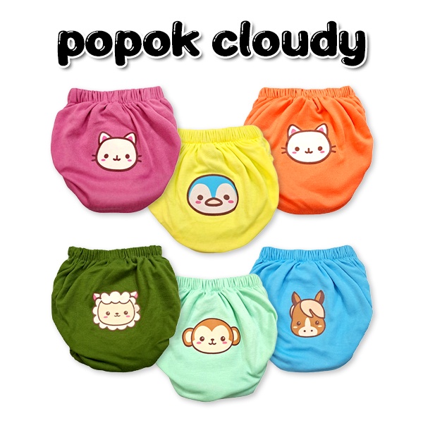 Popok Kain Bayi Cuci Ulang Celana Cloudy Diapers Training Pants Baby