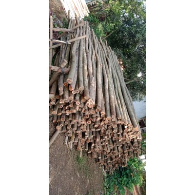 kayu Dolken tiang diamater 10cm panjang 4meter