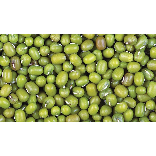 

Kacang hijau repack 1 kg