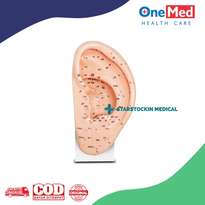 Manekin Patung Akupuntur Telinga Onemed