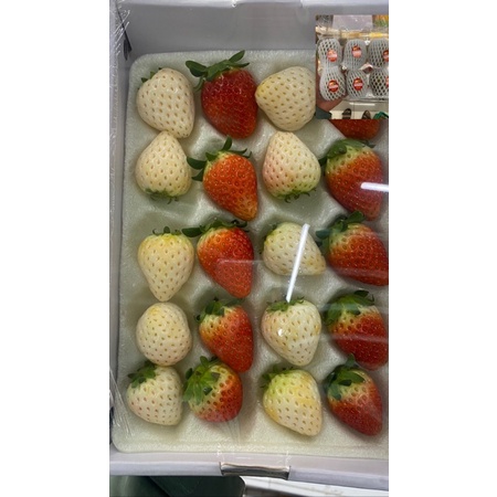 

SETRAWBERRY JEPANG DECORATION OKJOG FARM 330GR/ STRAWBERY JEPANG MIX