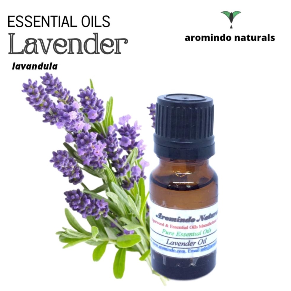 LAVENDER ESSENTIAL OIL 5ML 10ML