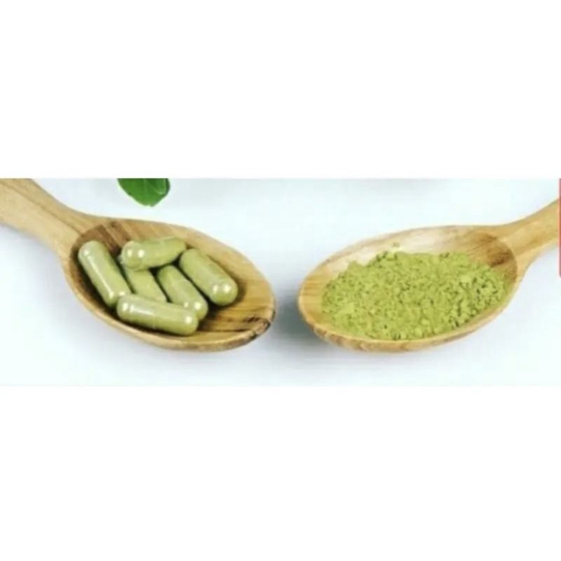 asi booster kelor moringa