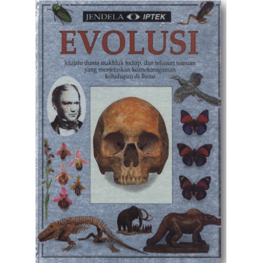 [READY] Evolusi Linda Gamlin - Balai Pustaka / Buku  Majalah Murah / Buku Pendidikan / Education Boo