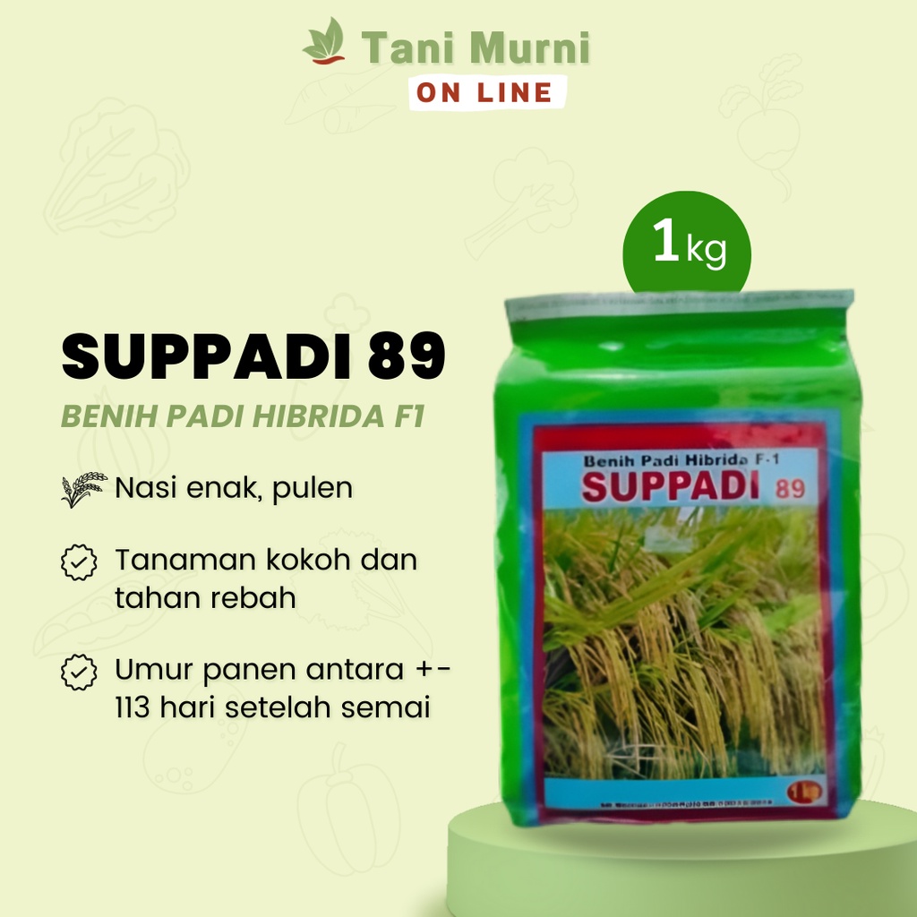 Benih Padi Hibrida F1 SUPPADI 89 Benih Padi 1Kg