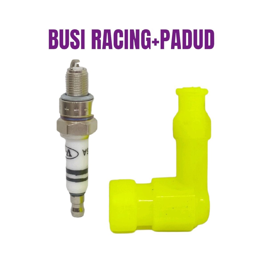 PADUD + BUSI RACING  C7HSA BP7HS D8EA