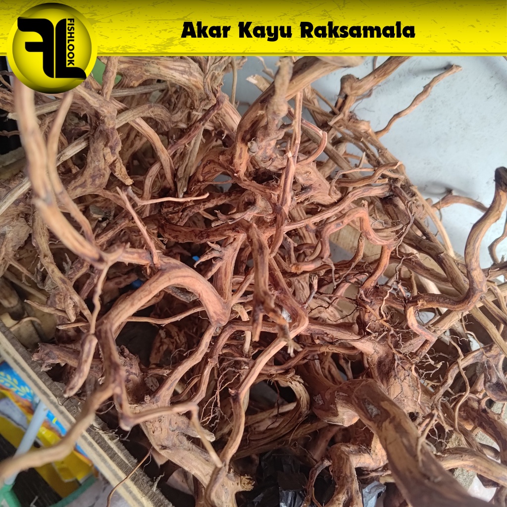 KAYU AKAR RASMALA UNTUK AQUASCAPE SIZE S M L