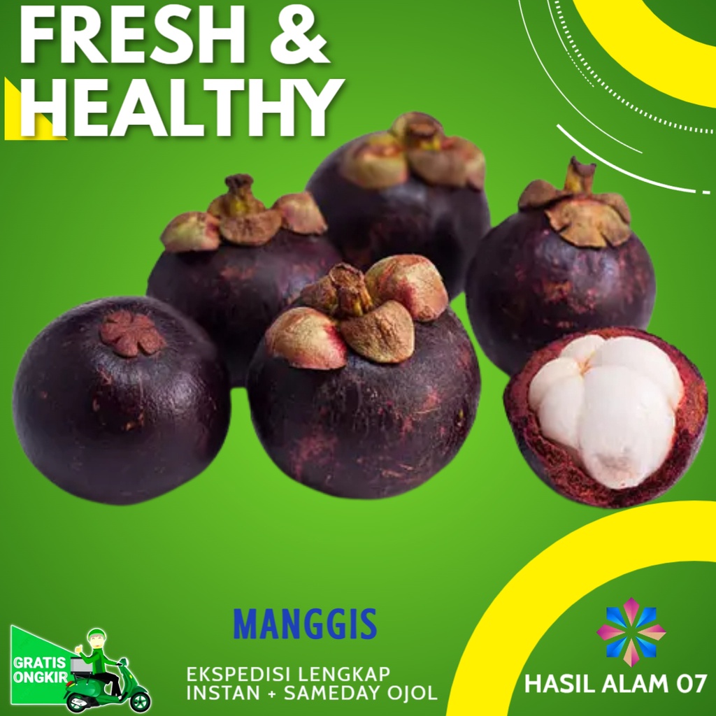 

Buah Manggis Mangosteen Segar Manis Fresh Fruits Harga 1 kg