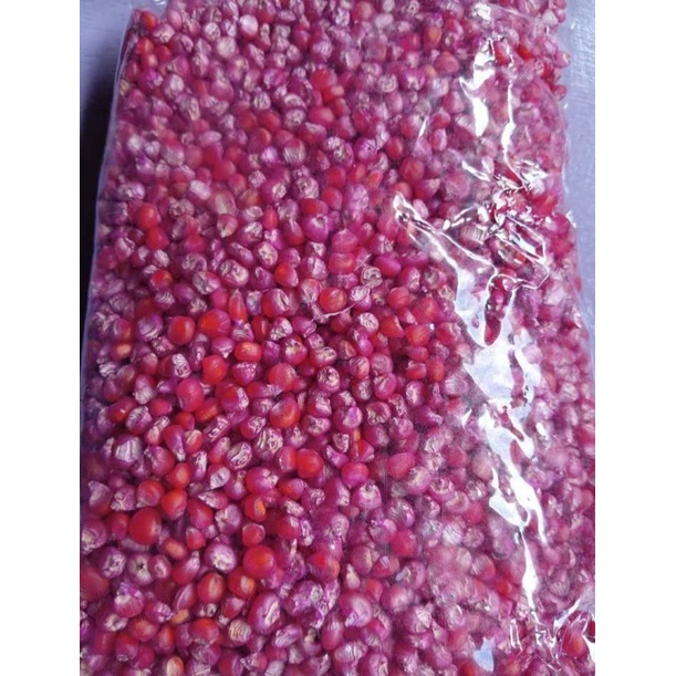 

JAGUNG MERAH BANYAK MANFAAT SIAP KONSUMSI