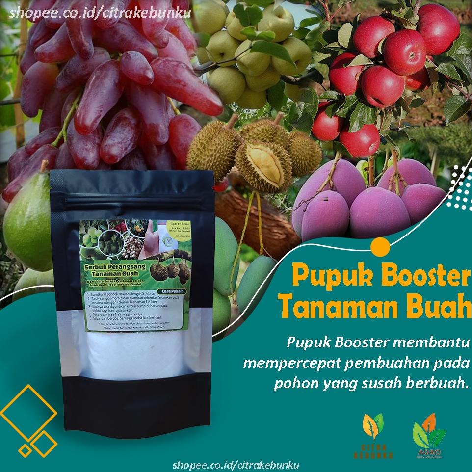 Terlaris Pupuk Buah Agro - Pupuk Booster Buah - Pupuk Pelebat Buah
