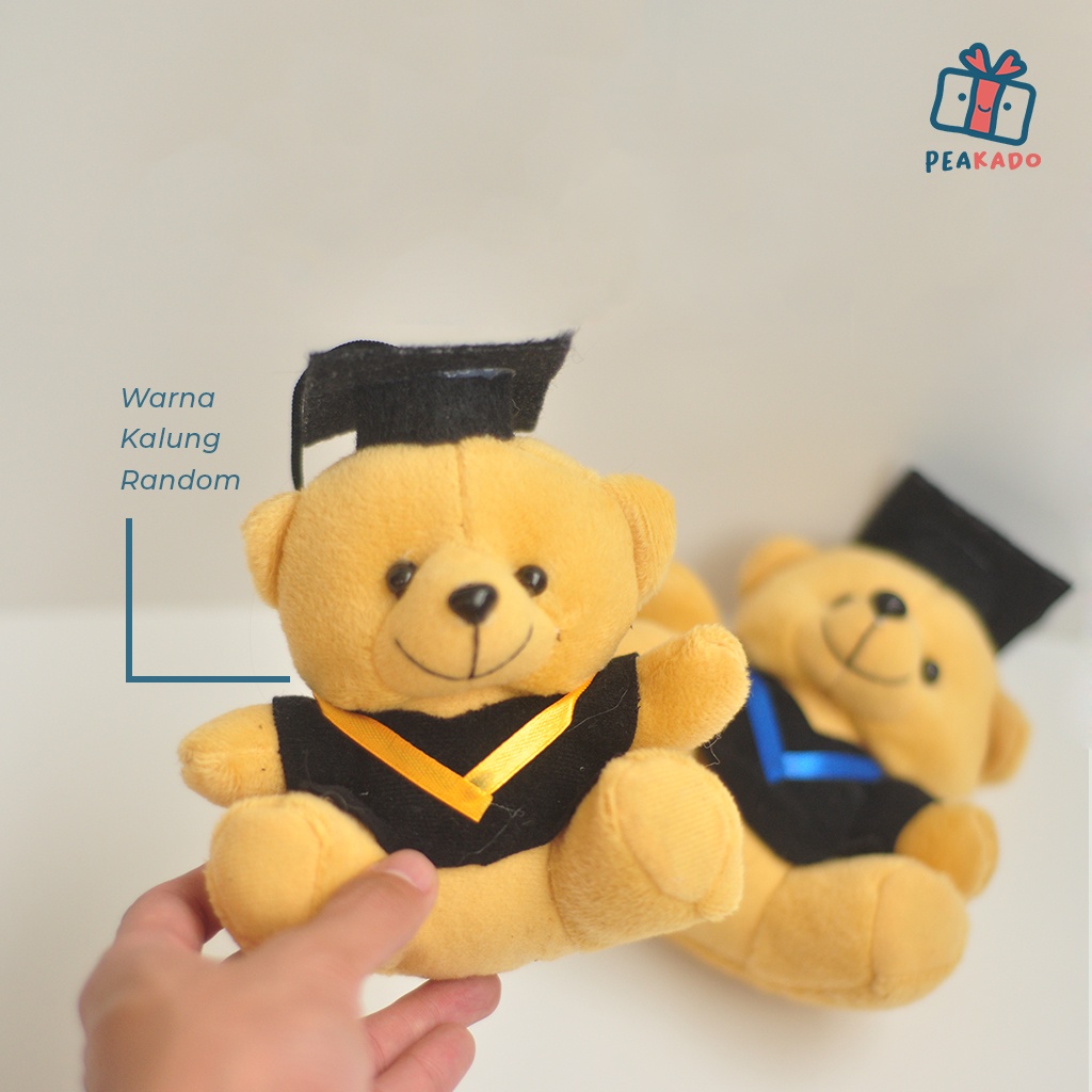 Boneka Wisuda Mini Kecil Custom Slempang Nama Teddy Bear Graduation Baju Toga Souvenir Hampers Hadiah Beruang