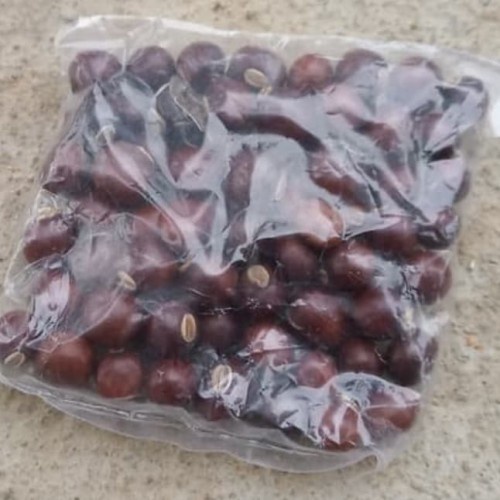 

TERBAIK JAMU BIJI KECIPIR KERING 1 KG