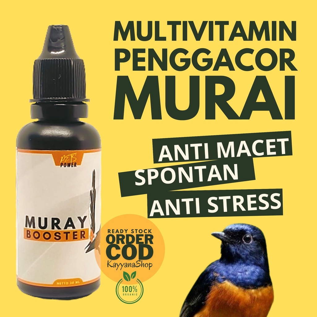 Vitamin Burung Murai Batu / Vitamin Burung Murai Batu Terbaik Gacor / Vitamin Burung Murai Trotol / Vitamin Burung Murai Ternak / Vitamin Burung Murai / Doping Burung Murai Lomba / Doping Burung Murai / Doping Burung Murai Batu / Vitamin Murai Serak