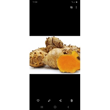 

temulawak segar 1kg