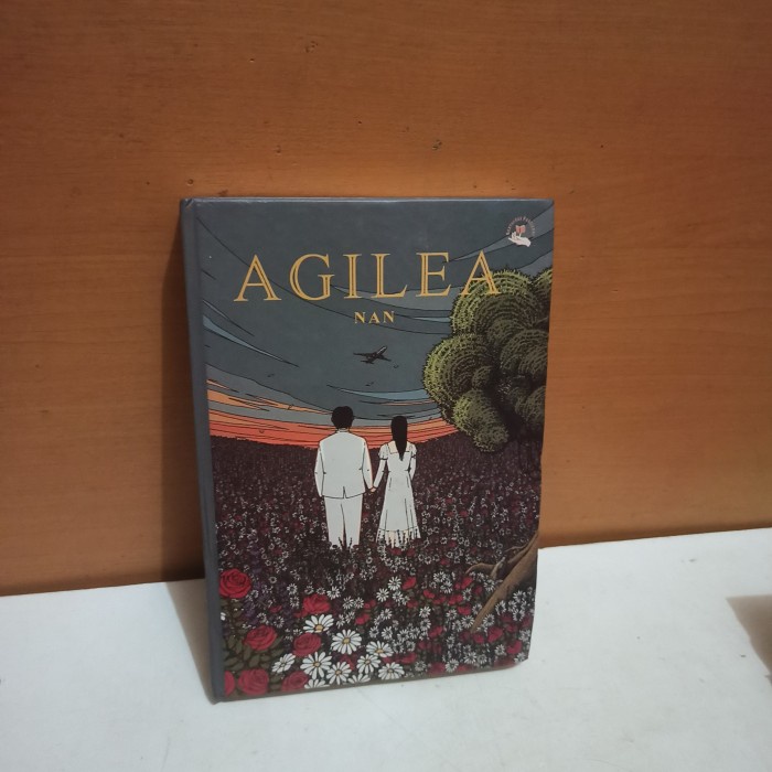 original novel agilea nan
