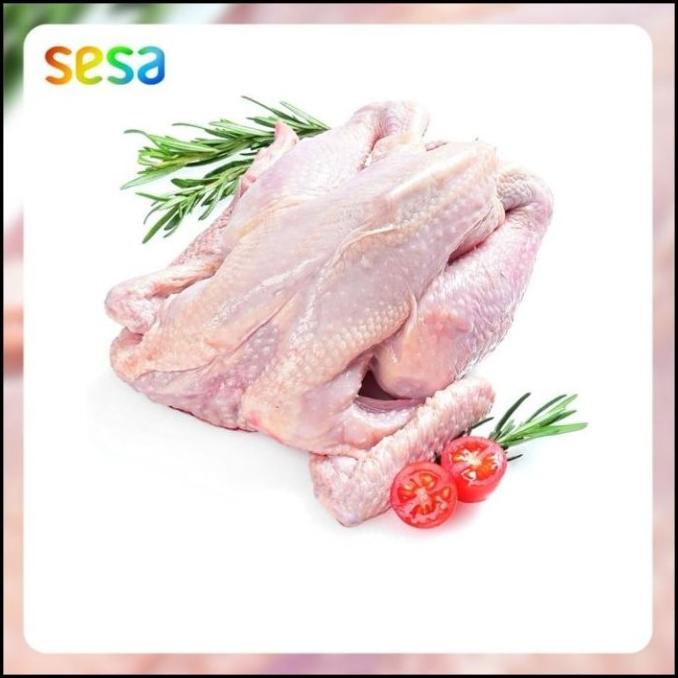

PROMO AYAM KAMPUNG ORGANIK BEKU 0.8 - 0.9 KG TERLARIS F5464RY