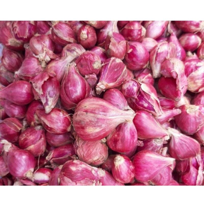 

Bawang merah brebes 500gr