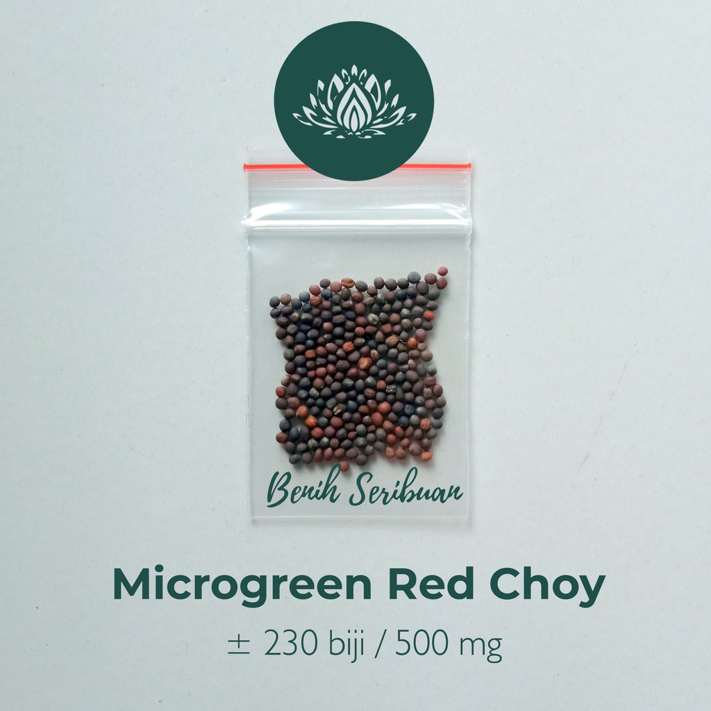 Benih Seribuan - 230 Bibit Microgreen Red Choy Organik Unggul