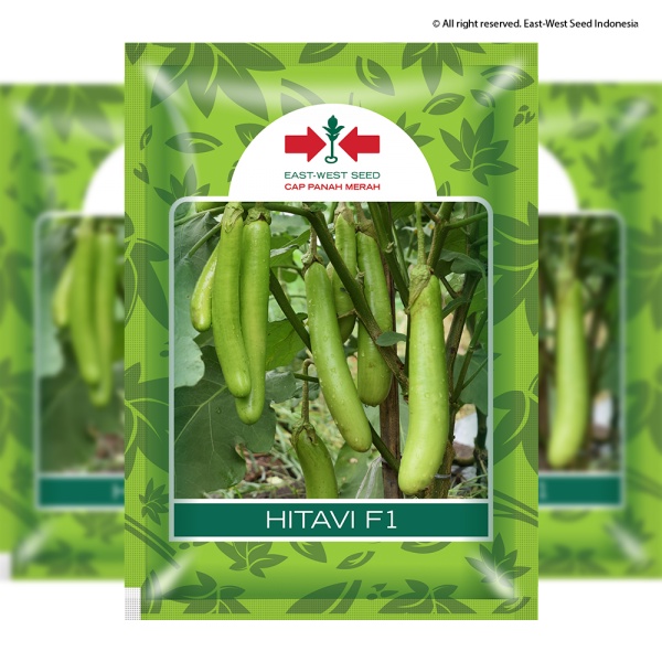 BENIH PANAH MERAH TERONG HIJAU HITAVI F1 5 GRAM