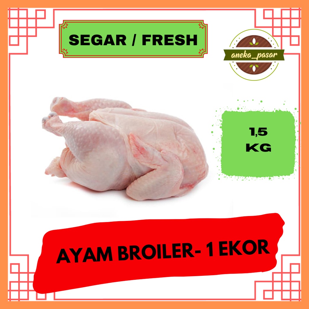 

ayam broiler potong fresh segar ukuran 1,5 kg / 1500 gram