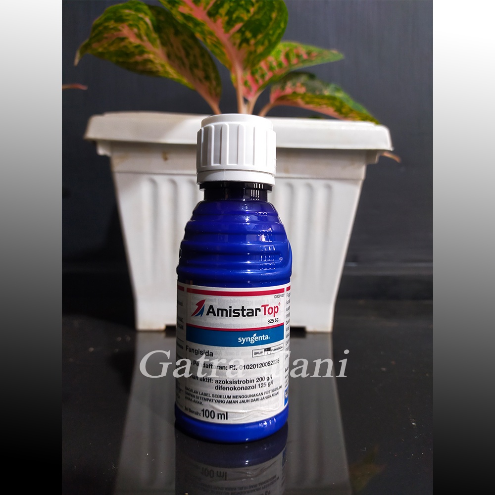 Amistartop 325 SC fungisida sistemik 100 ml