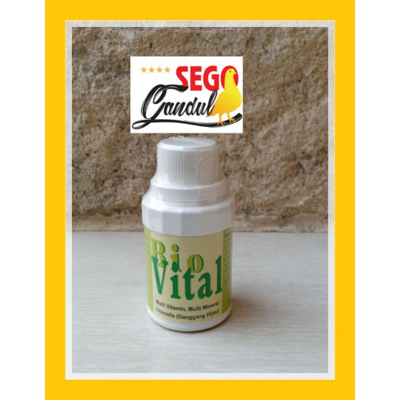 Bio Vital Biovital multi vitamin multi mineral merpati