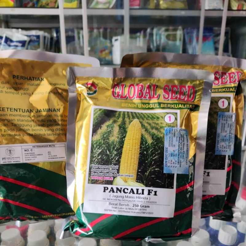 Benih Jagung Manis PANCALI F1 250gr Bibit Unggul Berkualitas dari Global Seed