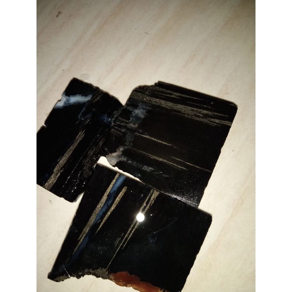 forsil kelor serat emas