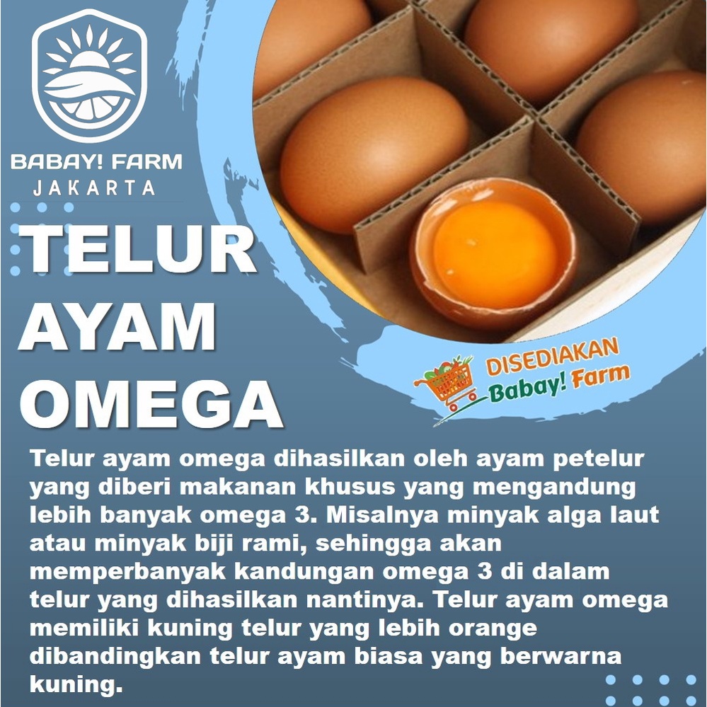 

Telur Ayam Negeri Omega 3 / Telor Negri Super Omega 3