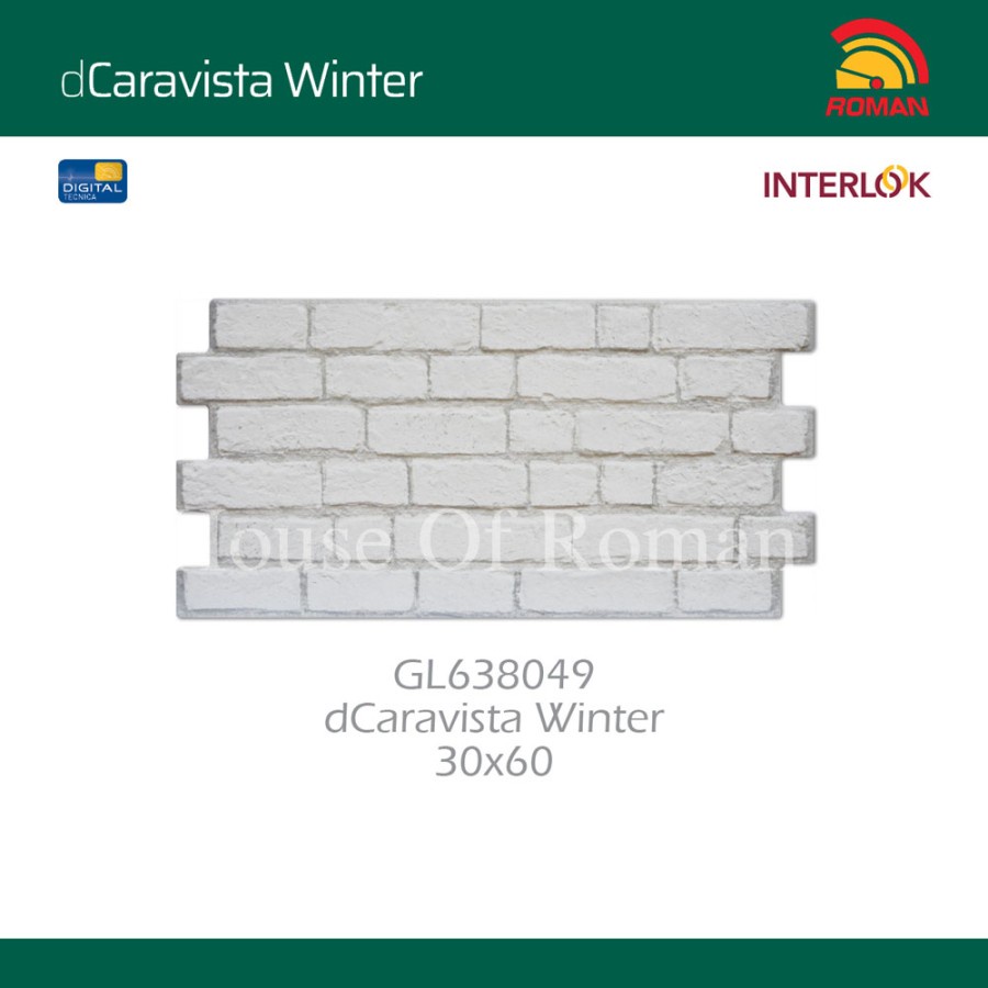 ROMAN INTERLOK DCARAVISTA WINTER 30X60 GL638049 (ROMAN HOUSE OF ROMAN)