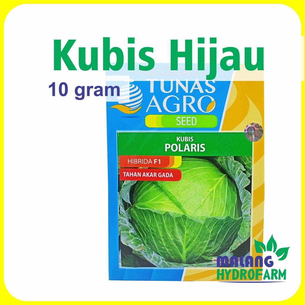 Benih Kubis Hijau 10 gram Tunas Agro Hibrida F1 tahan akar gada dataran rendah menengah tinggi bibit